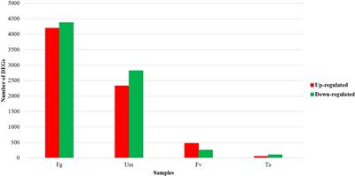 Comparative transcriptome profiling and weighted gene co-expression network analysis to identify core genes in maize (Zea mays L.) silks infected by multiple fungi